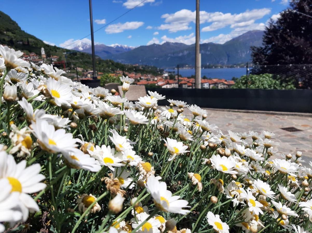 B&B Garzola Ossuccio Dış mekan fotoğraf