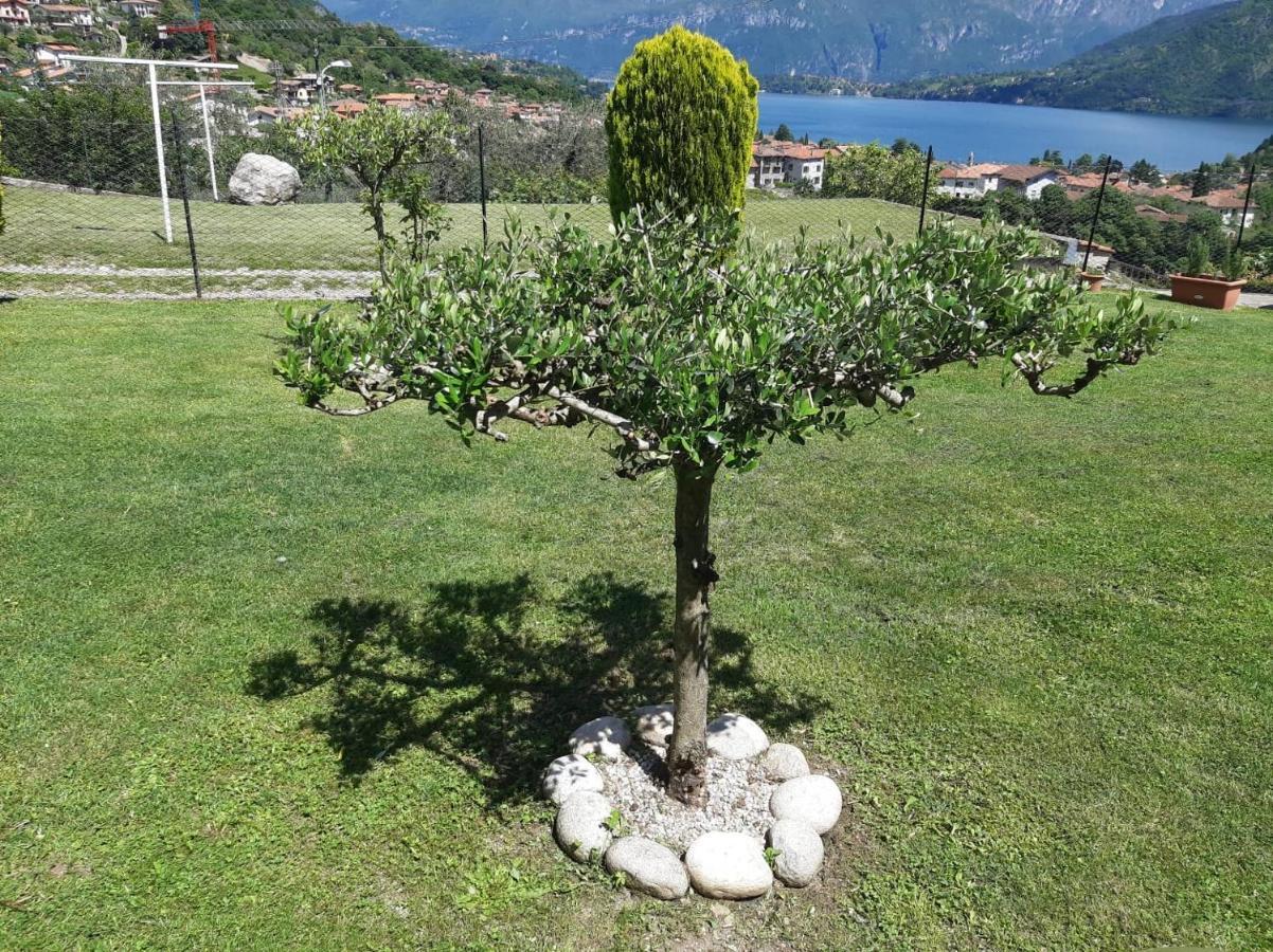 B&B Garzola Ossuccio Dış mekan fotoğraf