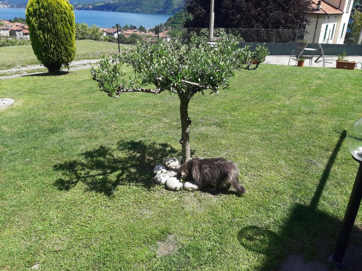 B&B Garzola Ossuccio Dış mekan fotoğraf
